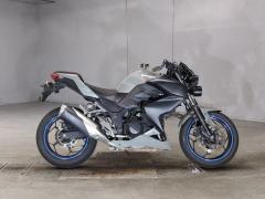 Kawasaki Z250 2015