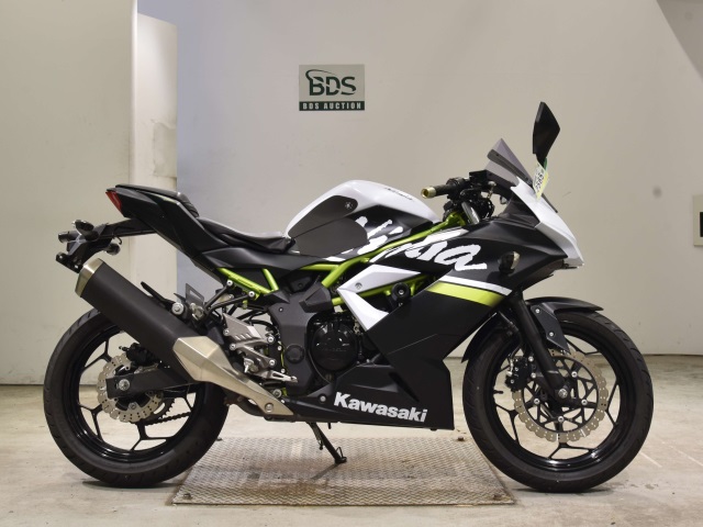 Kawasaki NINJA250 2020