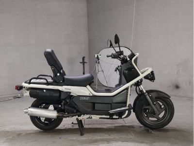 Honda PS250 BIG RUCKUS 2004