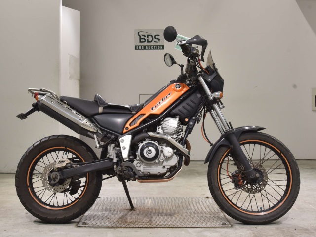 Yamaha TRICKER 2005