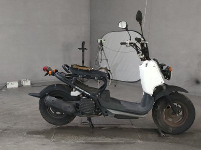 Honda ZOOMER 2009