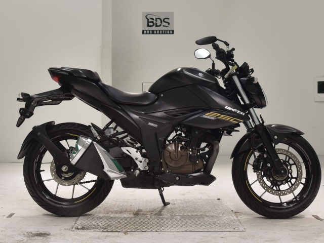 Suzuki GIXXER250 1991
