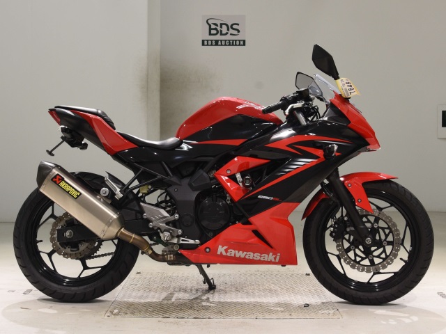 Kawasaki NINJA250 2015