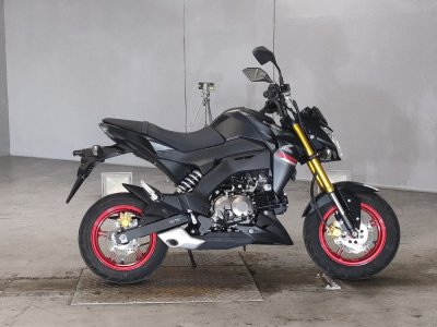 Kawasaki Z125 PRO 2021