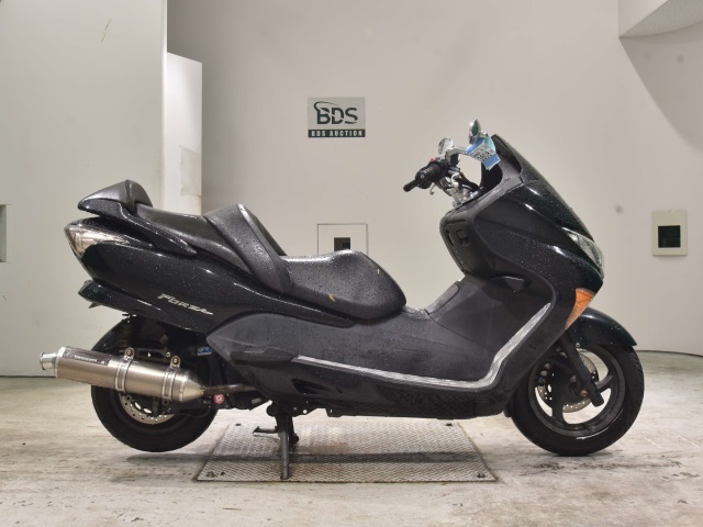 Honda FORZA Z 2006