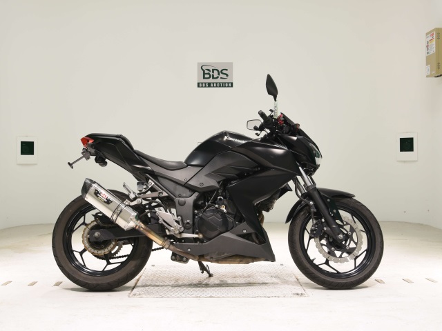 Kawasaki Z250 2013