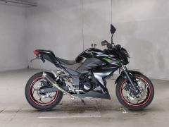 Kawasaki Z250 2013