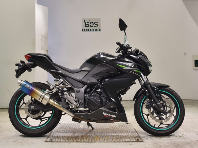 Kawasaki Z250 2013