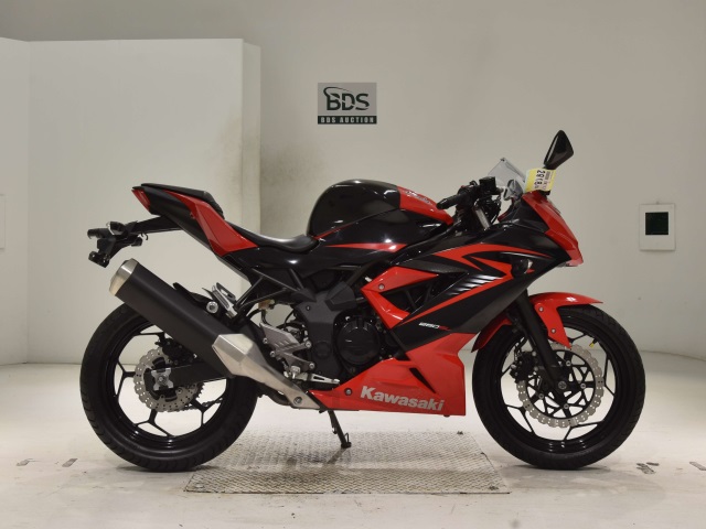 Kawasaki NINJA250 2015