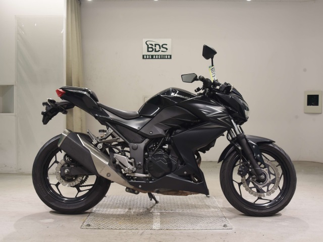 Kawasaki Z250A 2016