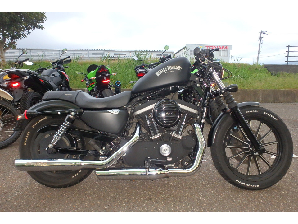 HD SPORTSTER IRON XL883N 2009