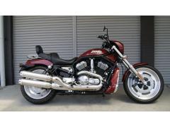 HD NIGHT ROD VRSCD 2005
