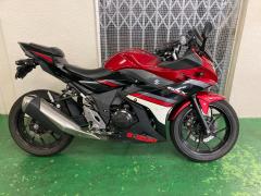 Suzuki GSX250R