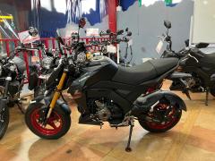 Kawasaki Z125 PRO 2021