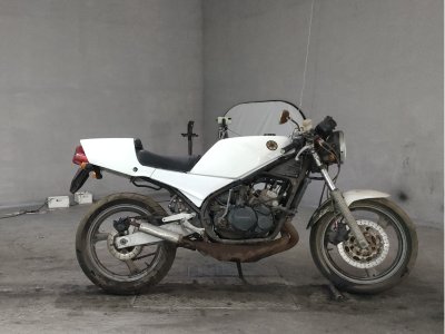 Yamaha RZ250R 1984