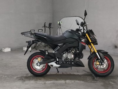 Kawasaki Z125 PRO 2021