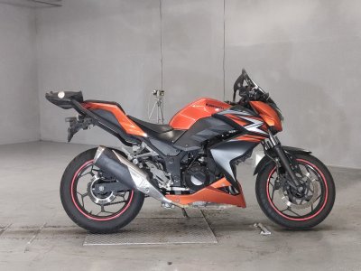 Kawasaki Z250 2014