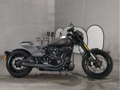 HD FXDRS 1870 2019