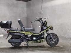 Honda PS250 BIG RUCKUS 2004