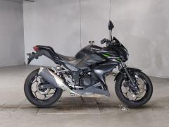 Kawasaki Z250 2013