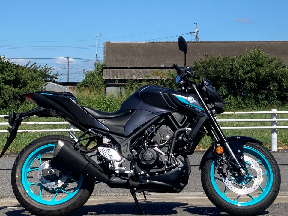 Yamaha MT-25 2024