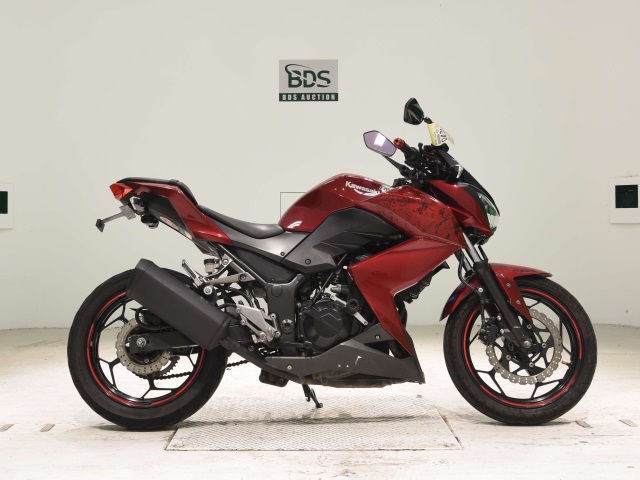 Kawasaki Z250 2013