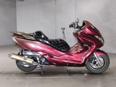 Honda FORZA Z 2008