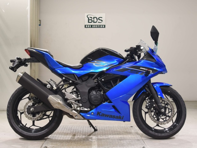 Kawasaki NINJA250 2016