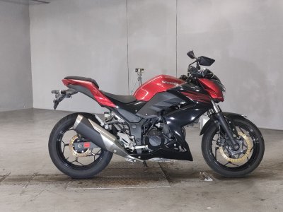Kawasaki Z250 2017