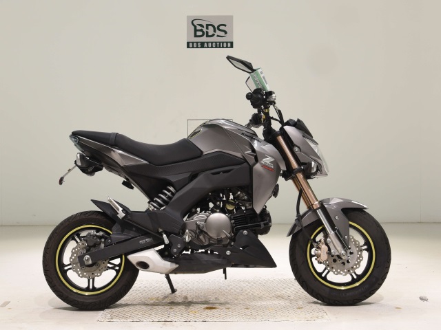 Kawasaki Z125 PRO 2016