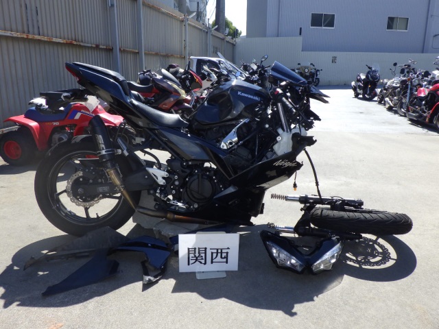 Kawasaki NINJA250 2022