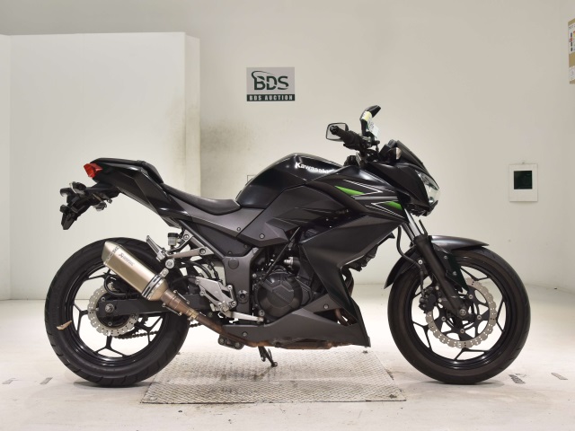 Kawasaki Z250 2013