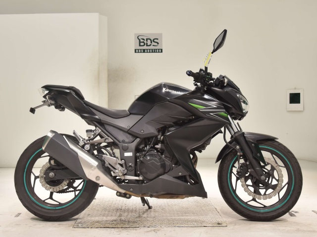 Kawasaki Z250 2013