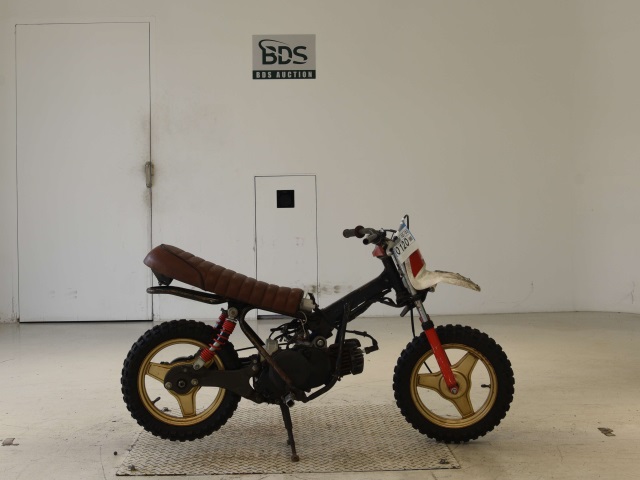 Yamaha PW50