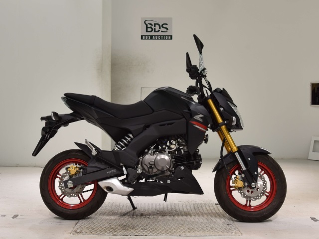 Kawasaki Z125 PRO 2021