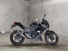 Kawasaki Z250 2013