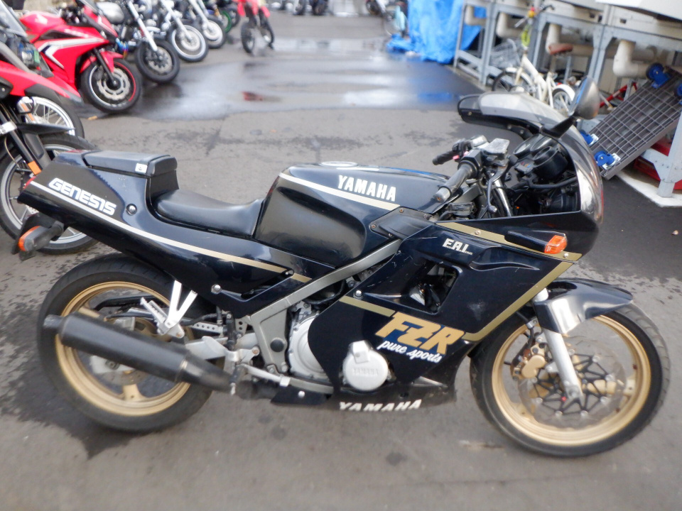 Yamaha FZR250 1987