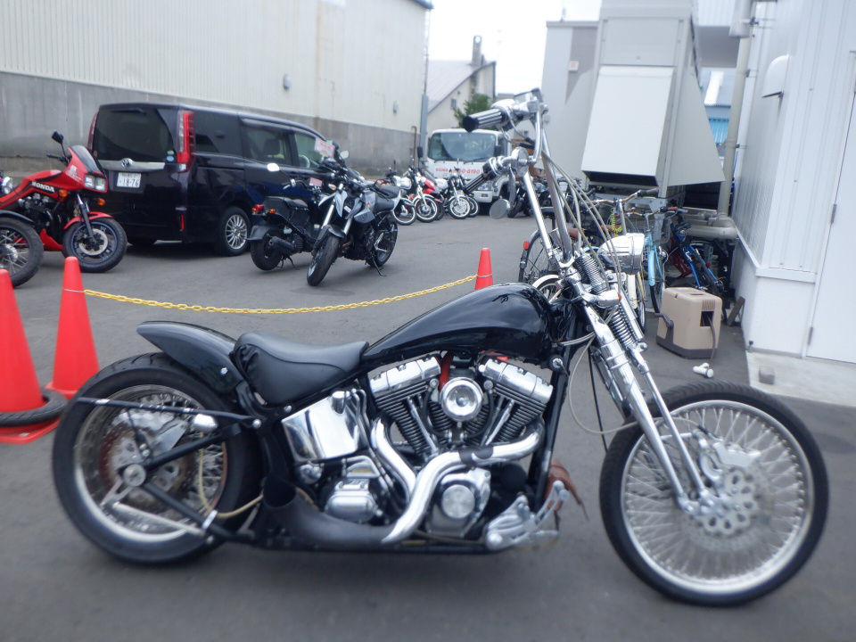 HD HERITAGE SPRINGER FLSTS1450 2000