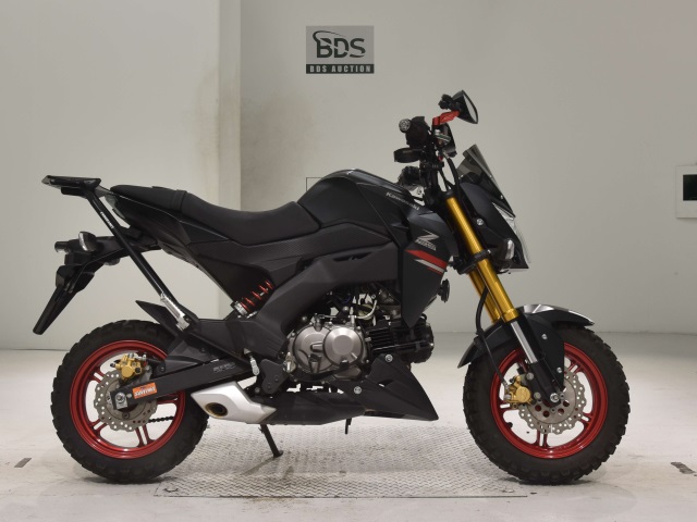 Kawasaki Z125 PRO 2021