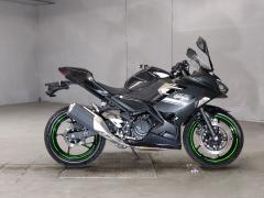Kawasaki NINJA250 2022