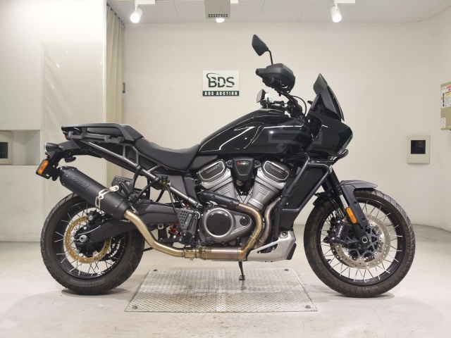HD PAN AMERICA1250 S 2021