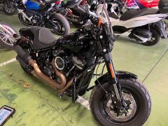 HD FAT BOB FXFB1750 2019