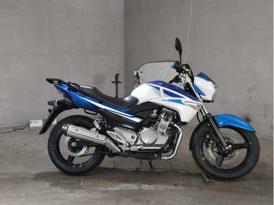 Suzuki GSR250