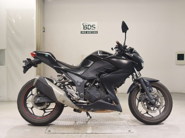Kawasaki Z250 2013