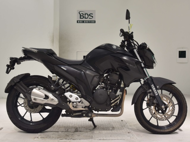 Yamaha FZ25 2018