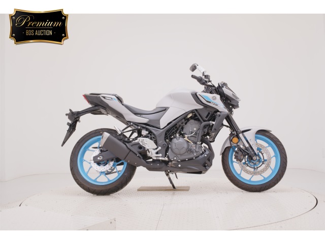 Yamaha MT-25 2025