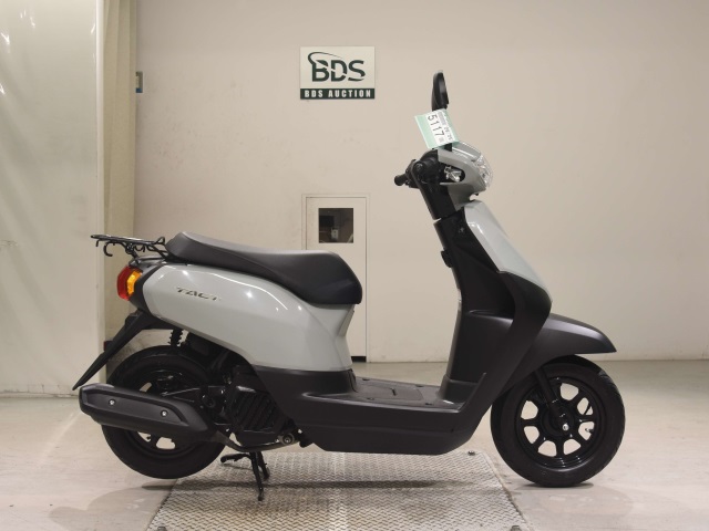 Honda TACT125 2024