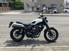 Honda CL250 2023