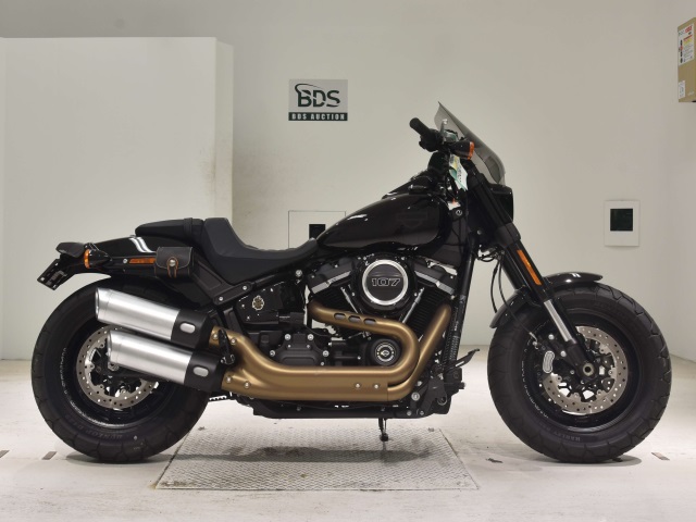 HD FAT BOB FXFB1750 2019