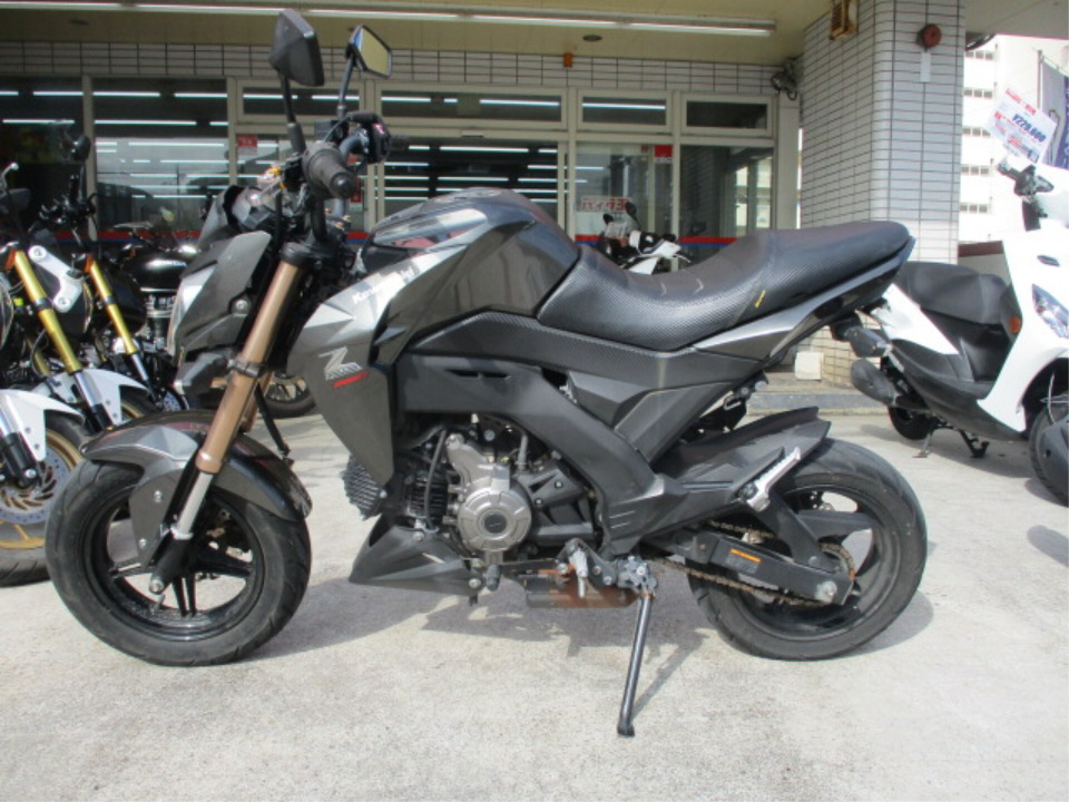 Kawasaki Z125 PRO 2017